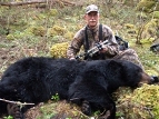 Black Bear